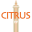 citrustower.com icon