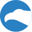 cityfalcon.com logo