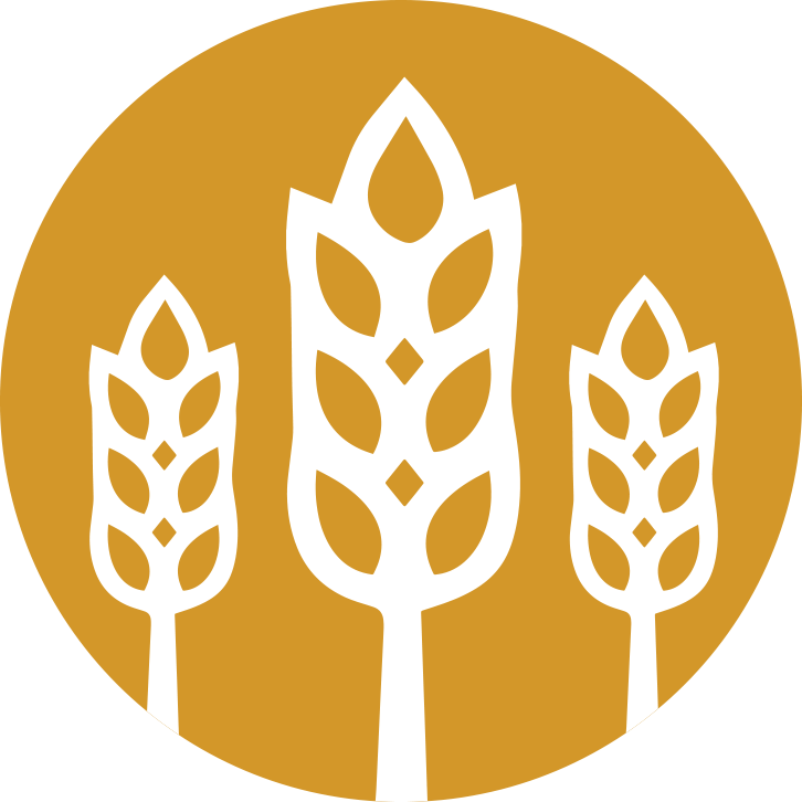 cityharvest.network icon