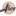 cityofalice.org icon