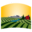 cityofcaldwell.org icon
