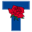 cityoftyler.org icon