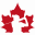 cjga.com icon