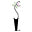 classics-the-small-luxury.com icon