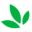 cleanfoundation.ca icon