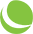 clearfly.net logo