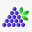 cleargrapellc.com icon
