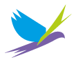 clevads.com icon