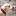 clever-pets-page.de icon