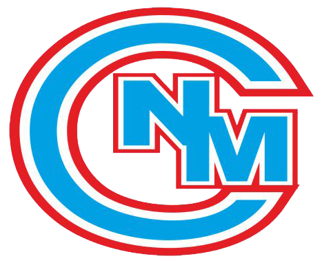 clinicanmandela.com icon