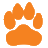 club4paws.ua icon