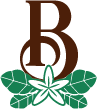 clubbrasilcafe.com icon