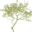 clubcampestresanjose.com icon