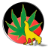 clubcannabico.org.ar logo
