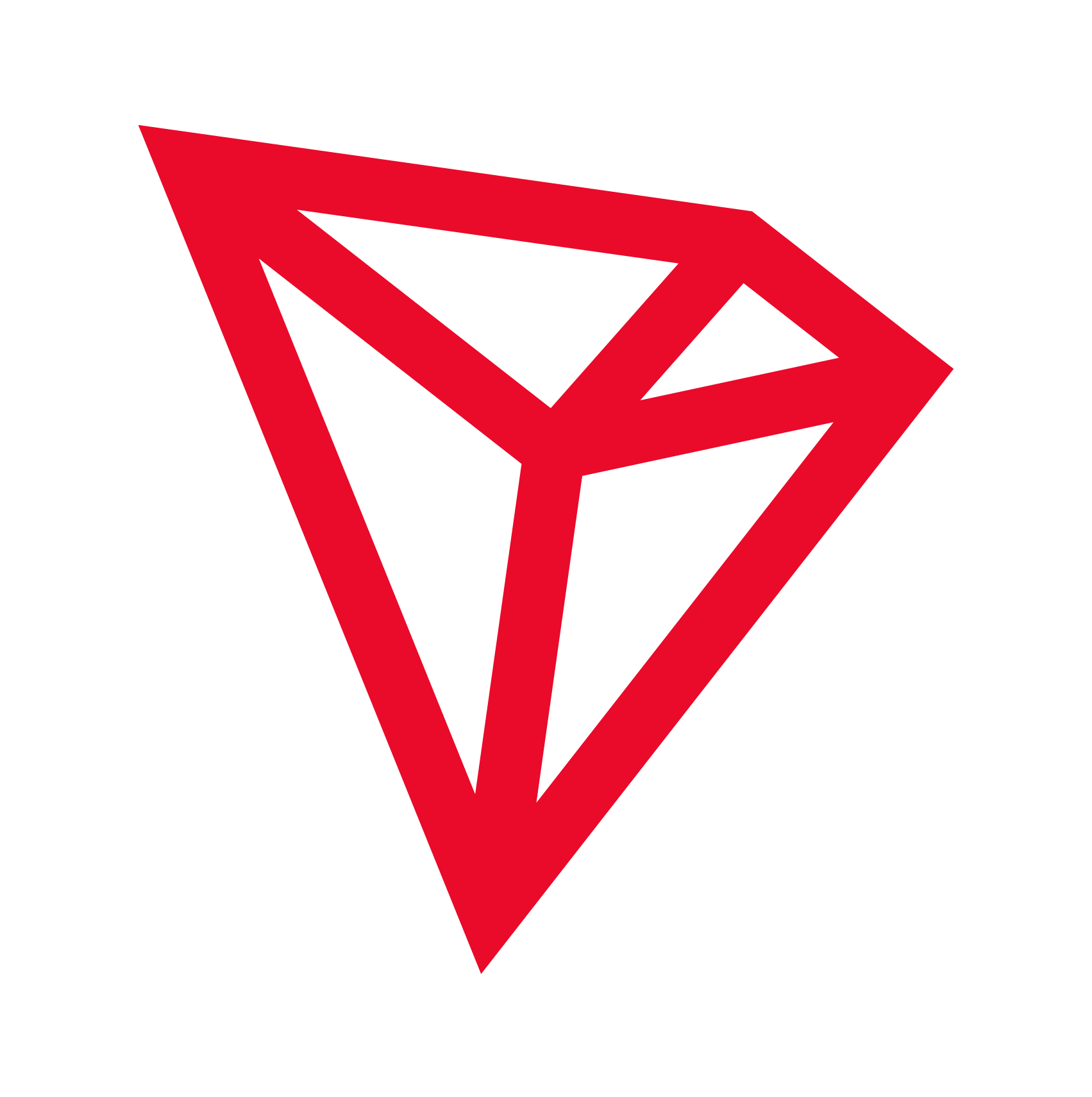 cn.developers.tron.network logo