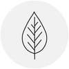 cnl.org.sg logo