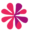 cnnn.com icon