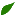 coachingtree.com icon