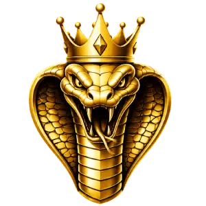 cobrahap.com icon
