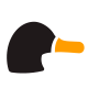 codeduck.com.br icon