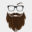 codemay.com icon