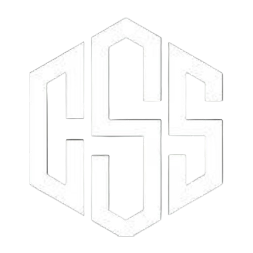 codingsoftwaresolutions.ro icon
