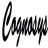 Node.js 10 with Ubuntu 19.04 logo