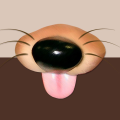 coldnosecreative.com icon