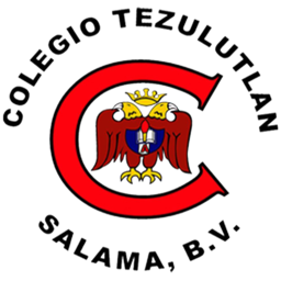 colegioparticularmixtotezulutlan.com icon