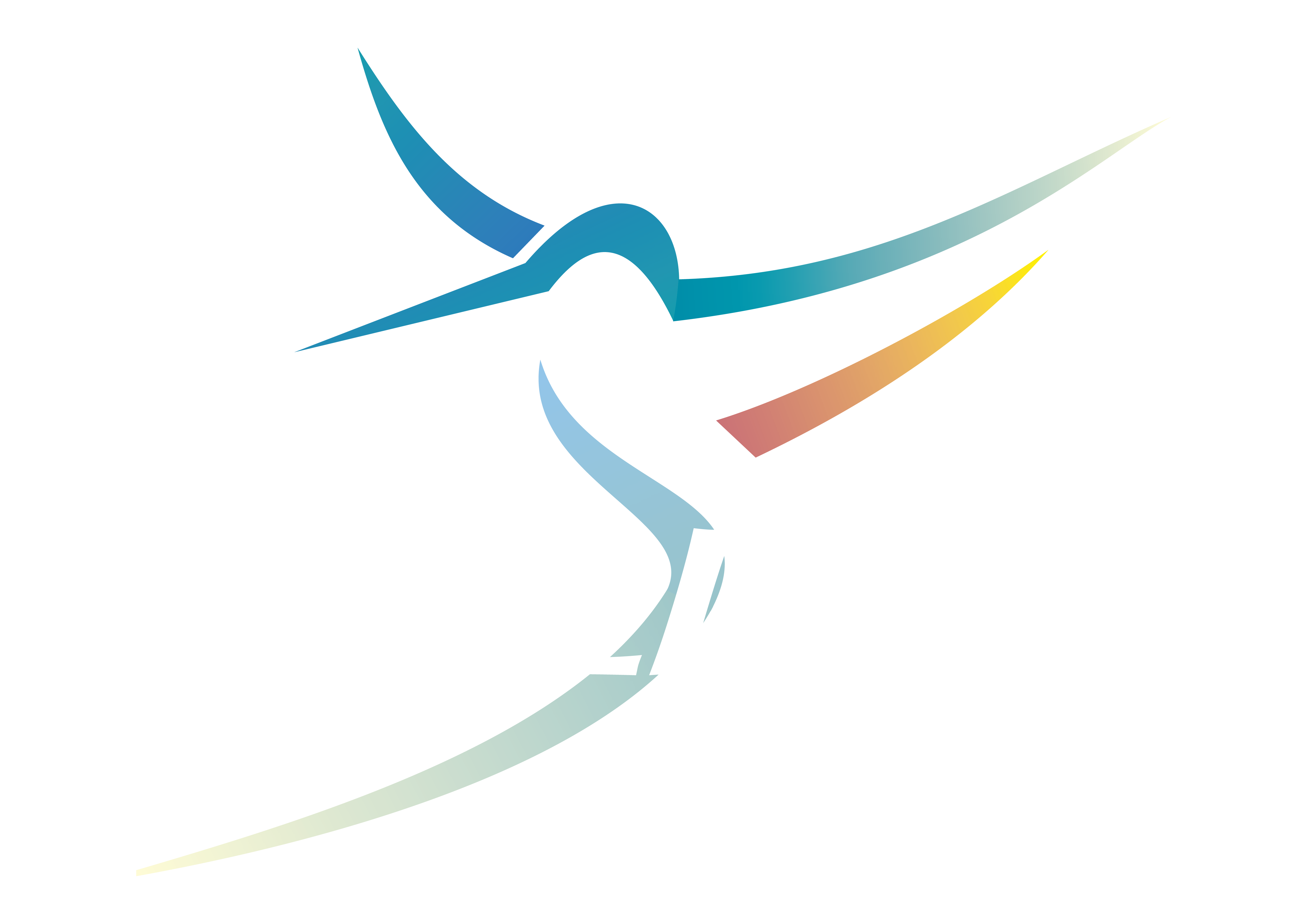 colibri.com.br icon