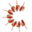 college-culinaire-de-france.fr icon