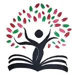 collinitsolution.com icon