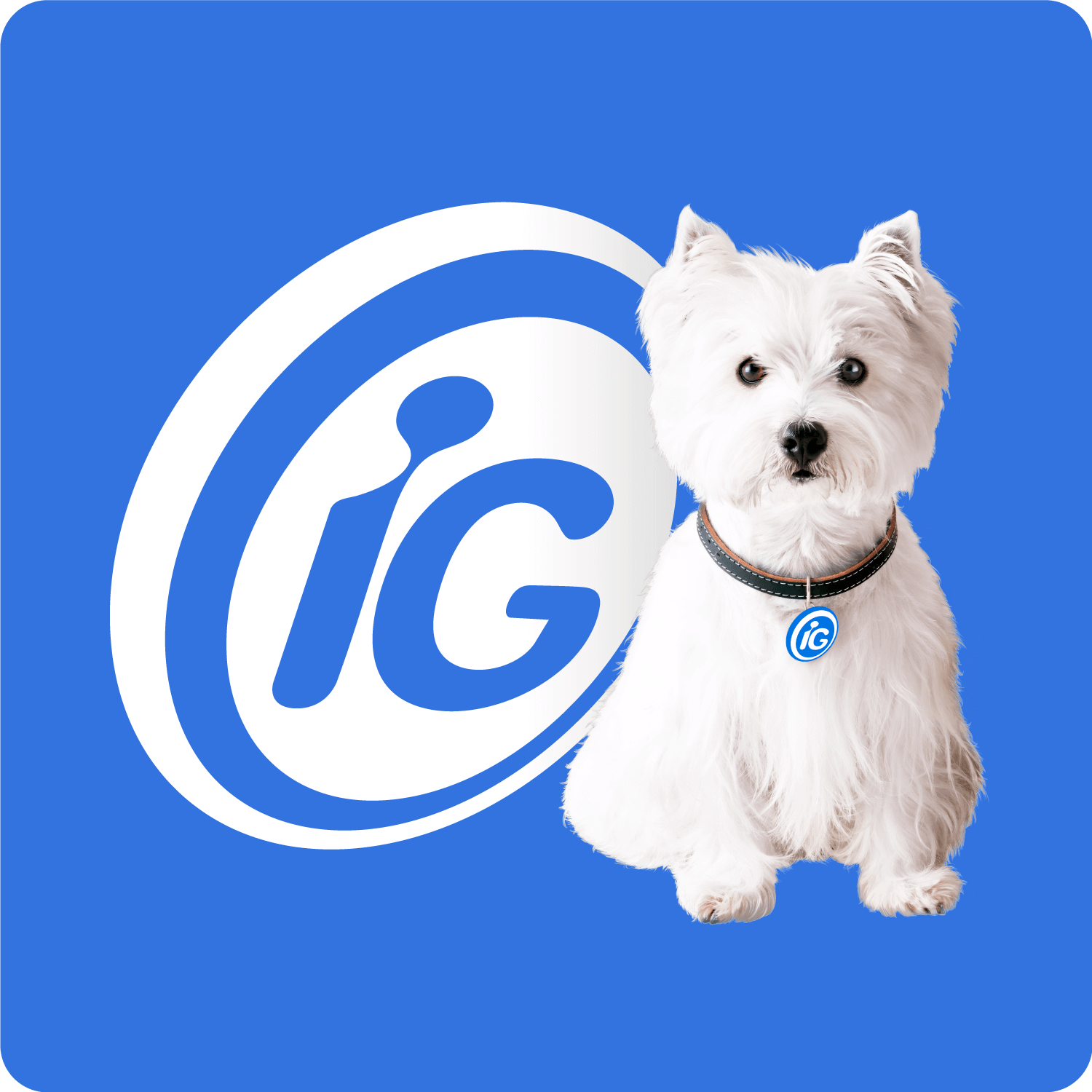 Domain Favicon