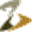 commerce8.com icon