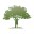 commongroundgriefcenter.org icon