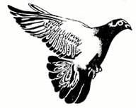 compuclub.nl icon