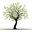 Concordia Financial Group logo