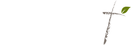 condoleerdefamilie.nl icon