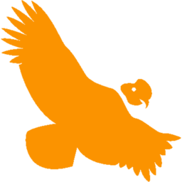 Condor Energy logo