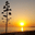 conilplaya.com logo