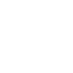 connectingdirectors.com icon