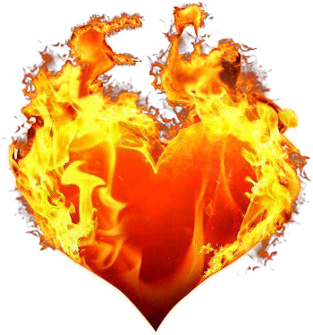consciencedivine.com icon