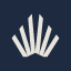 consciente.com.br icon