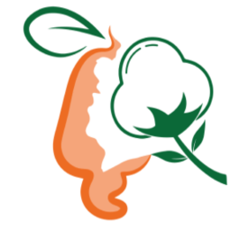 conseilcotonanacarde.ci icon