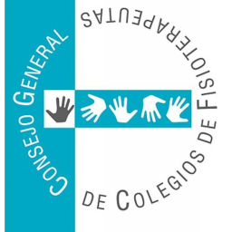 consejo-fisioterapia.org icon