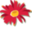 conservationgardenpark.org icon
