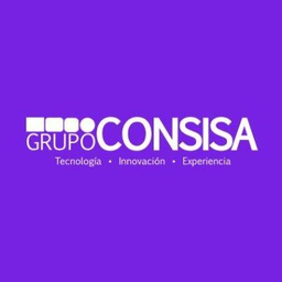 consisa.com icon