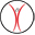 contentcompany.biz icon