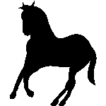 continentalsaddlery.com icon