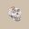 conversationsinhumanevolution.com icon